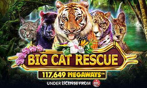 Imagem do jogo Big Cat Rescue Megaways no 667bet