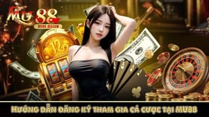 Guia de registro rápido