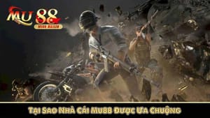 Recursos esportivos do 667bet